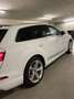 Audi Q7 Q7 PHEV e-tron 3,0 TDI quattro Tiptronic Weiß - thumbnail 2