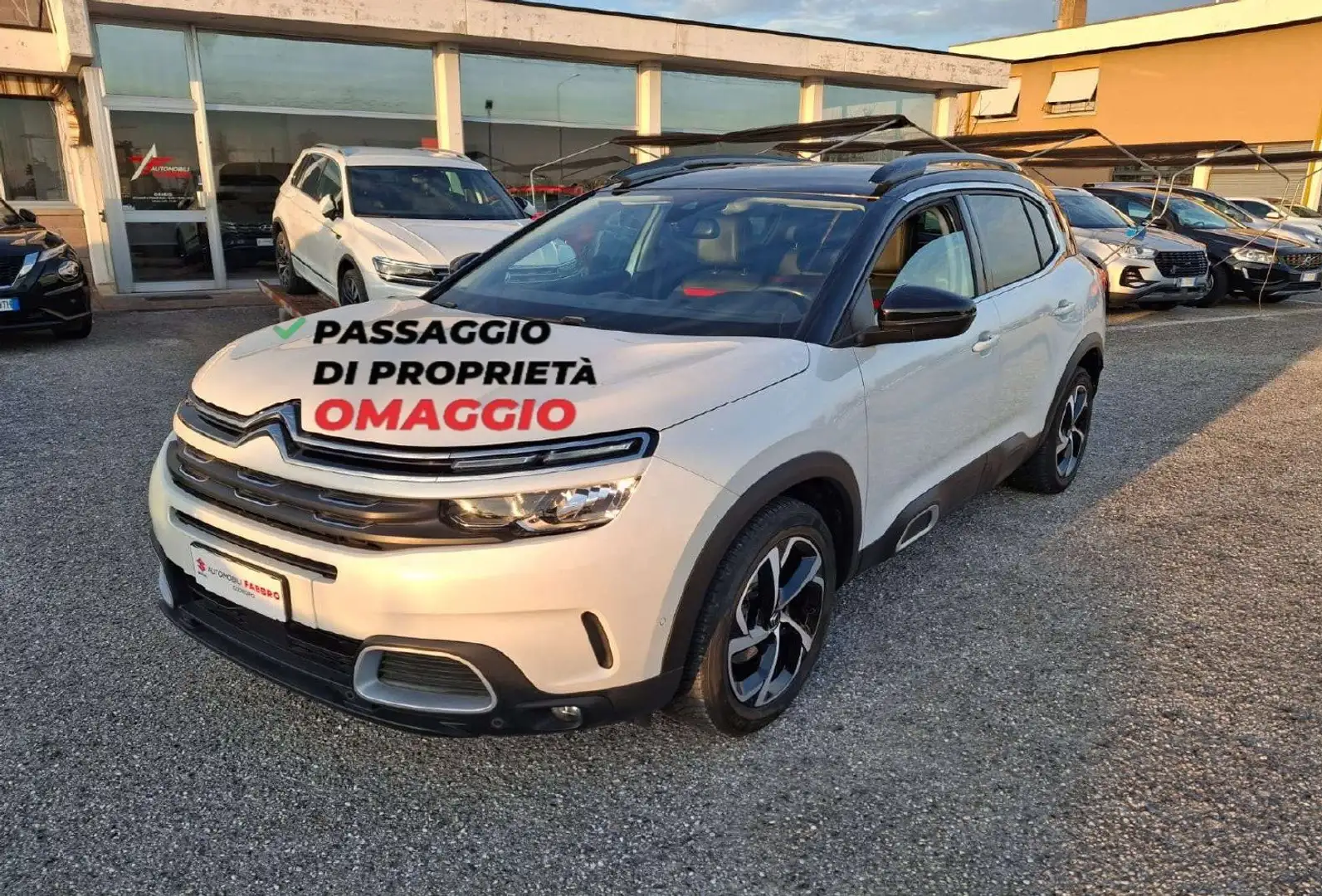 Citroen C5 Aircross C5 Aircross I 2018 1.2 puretech Shine s Bianco - 1