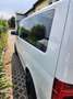 Volkswagen T6.1 Multivan Multivan T6.1 Kurz Trendline Bílá - thumbnail 13
