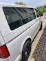 Volkswagen T6.1 Multivan Multivan T6.1 Kurz Trendline Bílá - thumbnail 12