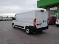 Fiat Ducato 33 2.3MJET 140CV PM-TN UNIPROPRIETARIO Bianco - thumbnail 3