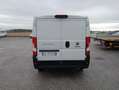Fiat Ducato 33 2.3MJET 140CV PM-TN UNIPROPRIETARIO Bianco - thumbnail 4