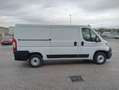 Fiat Ducato 33 2.3MJET 140CV PM-TN UNIPROPRIETARIO Bianco - thumbnail 6