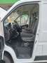 Fiat Ducato 33 2.3MJET 140CV PM-TN UNIPROPRIETARIO Bianco - thumbnail 9