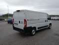 Fiat Ducato 33 2.3MJET 140CV PM-TN UNIPROPRIETARIO Bianco - thumbnail 5
