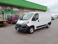 Fiat Ducato 33 2.3MJET 140CV PM-TN UNIPROPRIETARIO Bianco - thumbnail 1