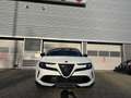 Alfa Romeo Junior TI Blanc - thumbnail 2