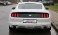 Ford Mustang 2.3 EcoBoost 231kW  Aut. (Fastb.) Blanc - thumbnail 4