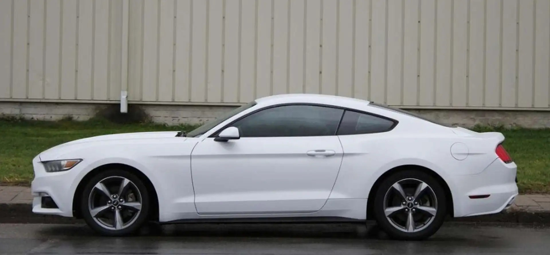 Ford Mustang 2.3 EcoBoost 231kW  Aut. (Fastb.) Blanc - 2