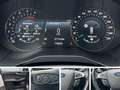 Ford S-Max 2.0 TITANIUM/7-SITZ/AHK/RCAM/KEYL/LED/DAB Grau - thumbnail 14