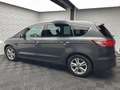 Ford S-Max 2.0 TITANIUM/7-SITZ/AHK/RCAM/KEYL/LED/DAB Gris - thumbnail 6