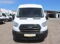 Ford Transit L3H2 Kasten NAVI KAMERA SHZ TEL KLIMA TEMP - thumbnail 2