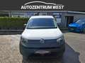Volkswagen Caddy Caddy Maxi Cargo 2,0 TDI ..netto 23.323,-- Weiß - thumbnail 3