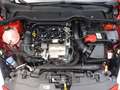 Ford Fiesta 5p 1.0 ecoboost Plus 100cv Rood - thumbnail 7