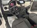 Fiat 500 500 1.0 Hybrid Star Bianco - thumbnail 8