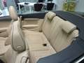 Audi A5 Cabriolet 45 TFSI quattro S-Tronic S-Line KLIMA L Negro - thumbnail 11