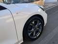 Ford Focus 1.5 EcoBlue 120 CV ST-Line Bianco - thumbnail 3