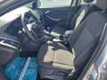 Ford Focus Focus 5p 1.6 tdci Plus Business 115cv - thumbnail 7