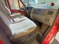 Fiat Ducato panorama 9 posti Rosso - thumbnail 10