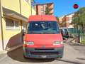 Fiat Ducato panorama 9 posti Rosso - thumbnail 2