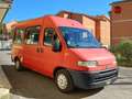 Fiat Ducato panorama 9 posti Rosso - thumbnail 5