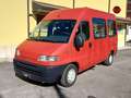 Fiat Ducato panorama 9 posti Rosso - thumbnail 1