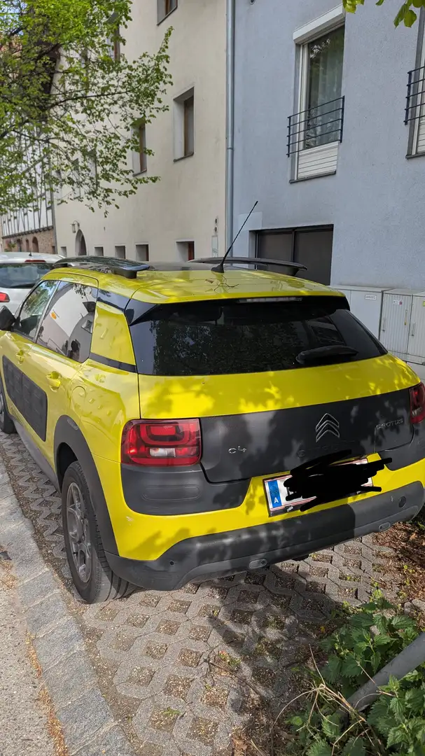 Citroen C4 Cactus C4 Cactus 1,2 VTI82 Shine ETG Shine Gelb - 2