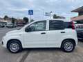 Fiat Panda 1.0 hybrid 70Cv 5POSTI RadioBT - Prezzo Reale Blanc - thumbnail 1