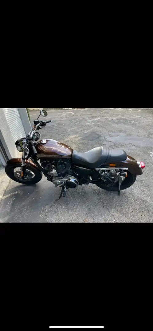 Harley-Davidson 1200 Custom Brun - 1