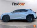 Lexus UX 250h 2.0 Business Blanc - thumbnail 5