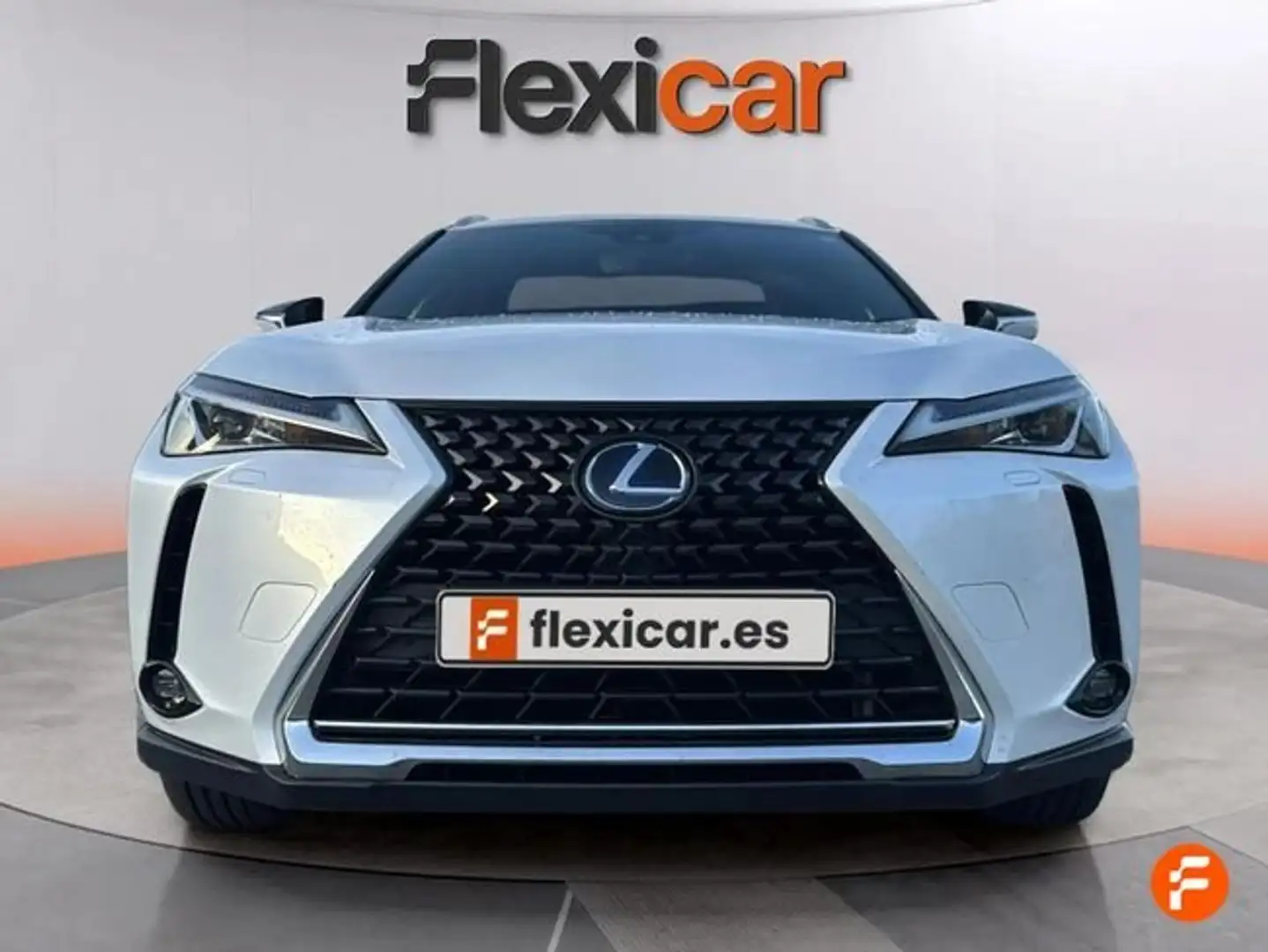 Lexus UX 250h 2.0 Business Blanc - 2