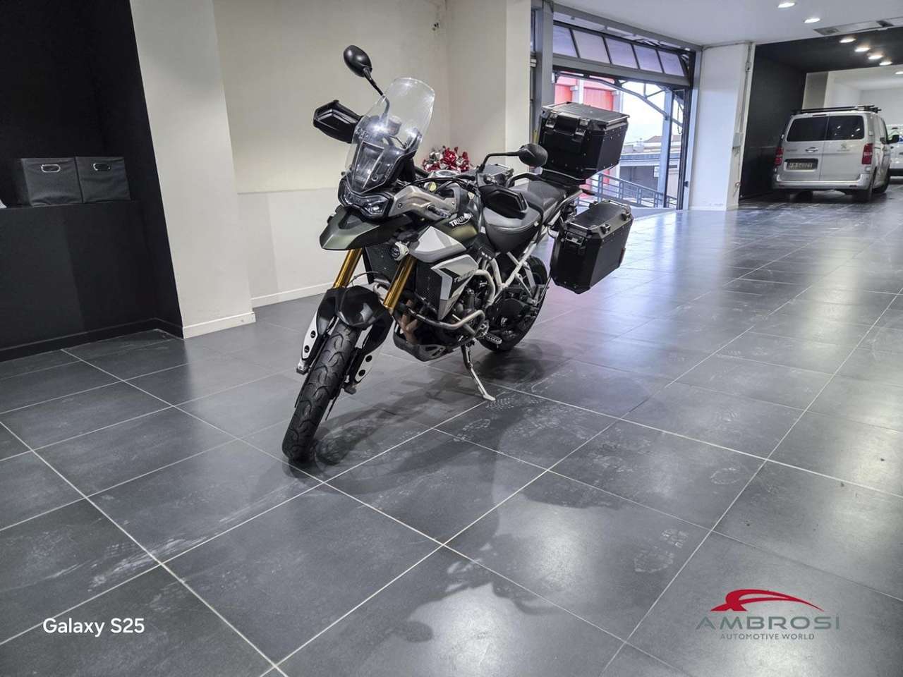 Triumph Tiger 70 900 RALLY PRO