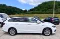 Fiat Tipo Lounge Navi Kamera AHK DAB 120PS Tüv neu Weiß - thumbnail 4