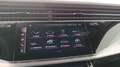 Audi Q7 55 TFSI e quattro S line 290 kW Grau - thumbnail 19