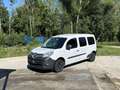 Renault Grand Kangoo 1.5DCI 90DCI Blanc - thumbnail 2