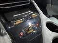 Lotus Eletre Eletre Negro - thumbnail 15
