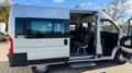 Fiat Ducato Luxusbus Panorama Modular 33 150 L2H2 Grau - thumbnail 11