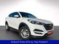 Hyundai TUCSON LED-T+Klima+PDC+Navi+ALU Weiß - thumbnail 5