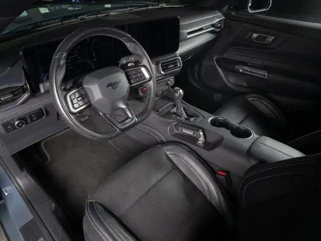 Ford Mustang view 9