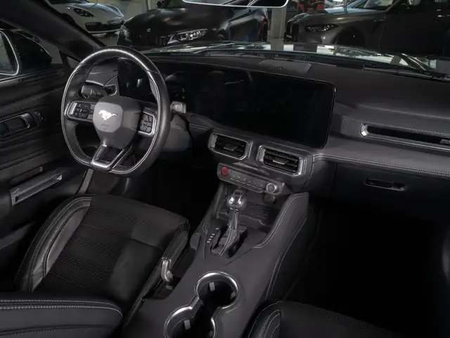 Ford Mustang view 12