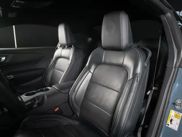 Ford Mustang view 10