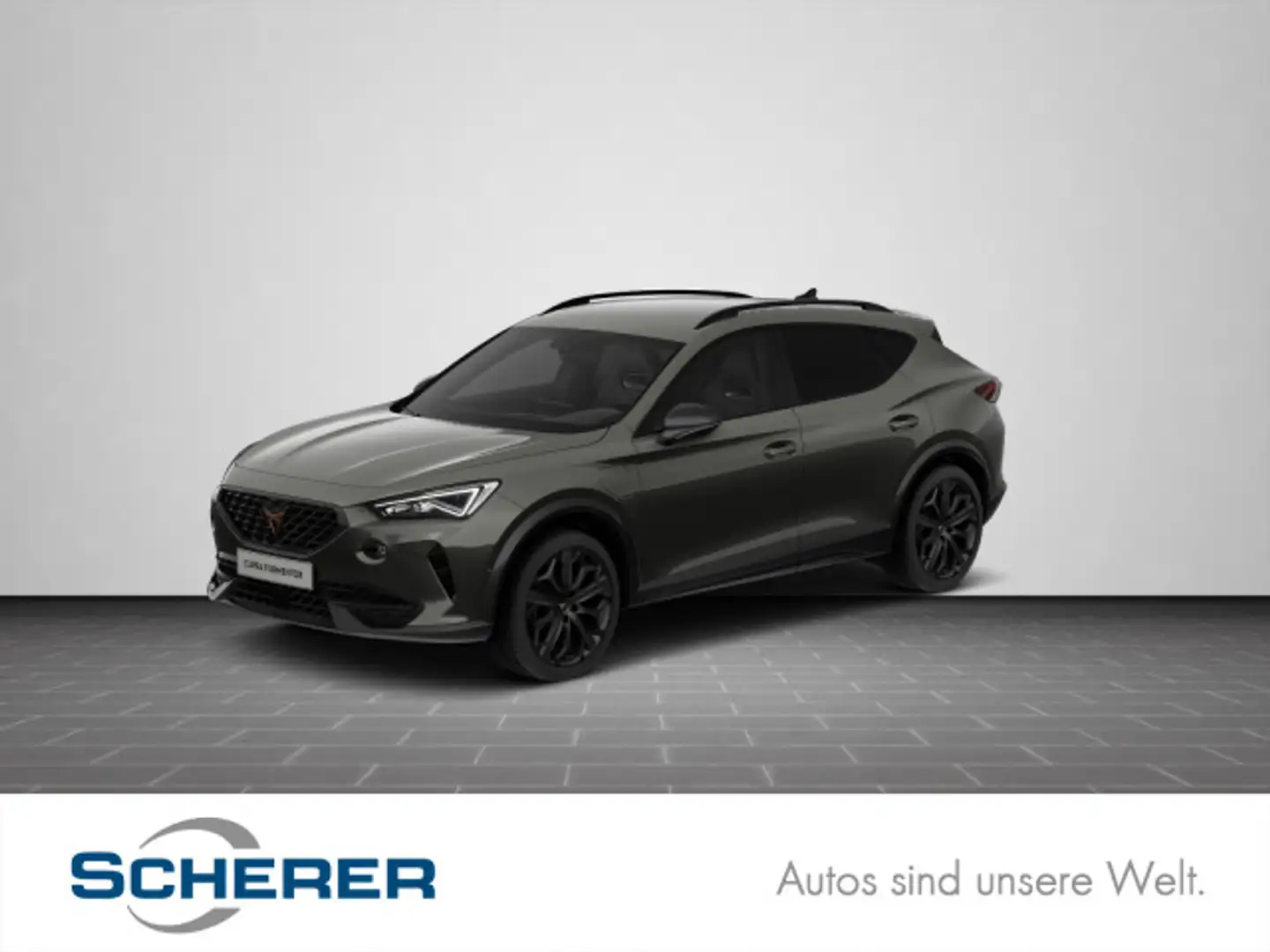CUPRA Formentor VZ Tribe Edition 1.4 E-Hybrid AHK Matr Grau - 1