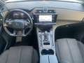 DS Automobiles DS 7 Crossback DS7 Crossback DS7 1.5 bluehdi Business 130cv auto Wit - thumbnail 11