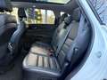 Kia Sorento Sorento 2.2 CRDi AWD Sense 7pl. Blanc - thumbnail 8