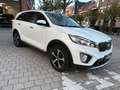 Kia Sorento Sorento 2.2 CRDi AWD Sense 7pl. Blanc - thumbnail 2