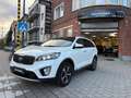 Kia Sorento Sorento 2.2 CRDi AWD Sense 7pl. Blanc - thumbnail 1