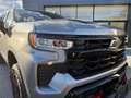 Chevrolet Silverado 1500 Boss Trail (2026) Grau - thumbnail 1