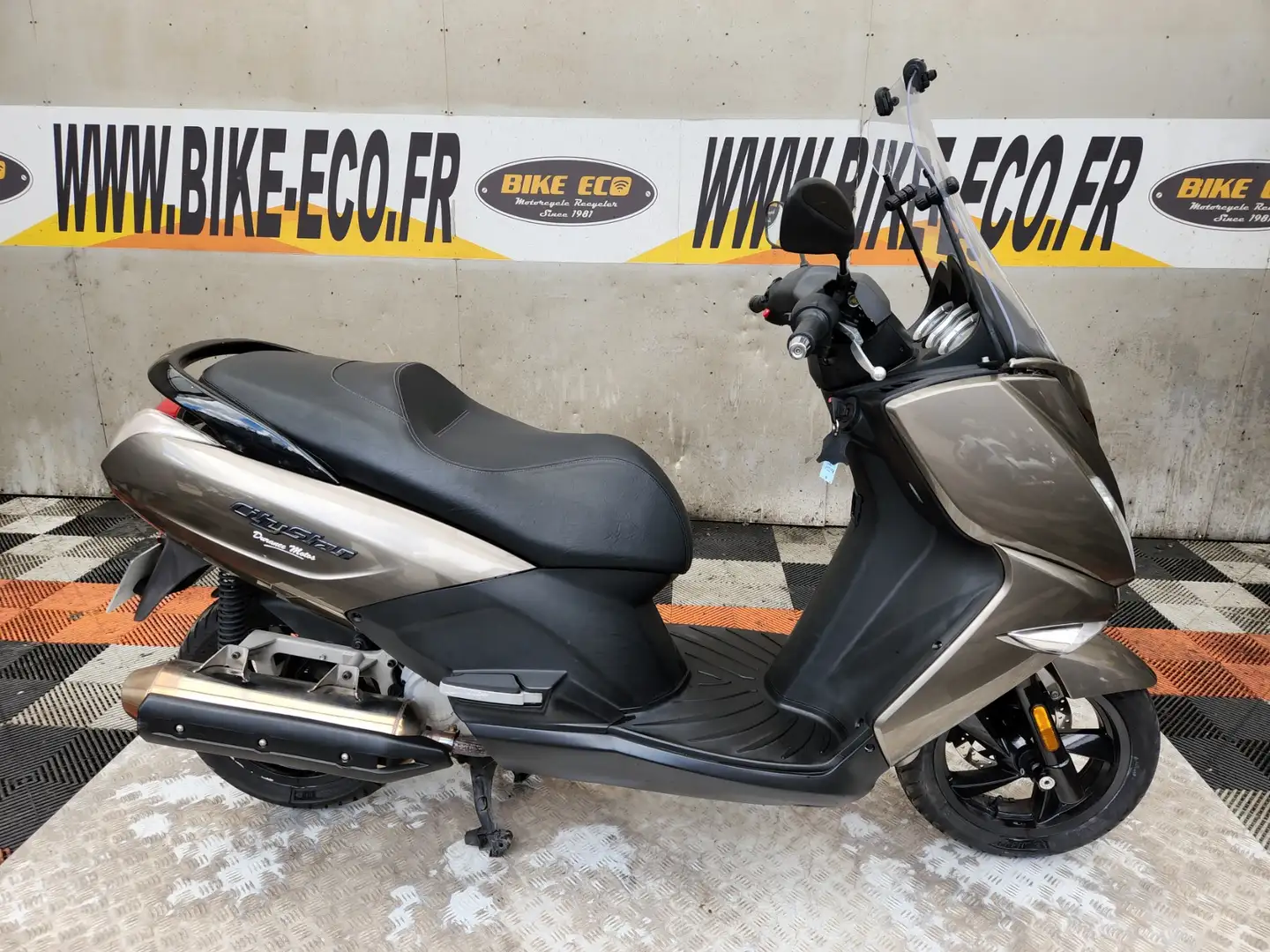 Peugeot Citystar Gri - 1