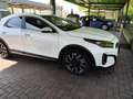 Kia XCeed XCeed 2022 1.6 crdi mhev Business 136cv dct Blanco - thumbnail 16