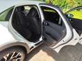 Kia XCeed XCeed 2022 1.6 crdi mhev Business 136cv dct Blanco - thumbnail 46